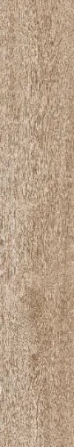 Pavimento e Rivestimento Eden 20x120 - Naturale